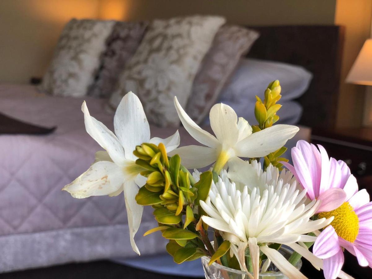 Llangwyryfon Country Breaks Bed & Breakfast Aberystwyth Bagian luar foto