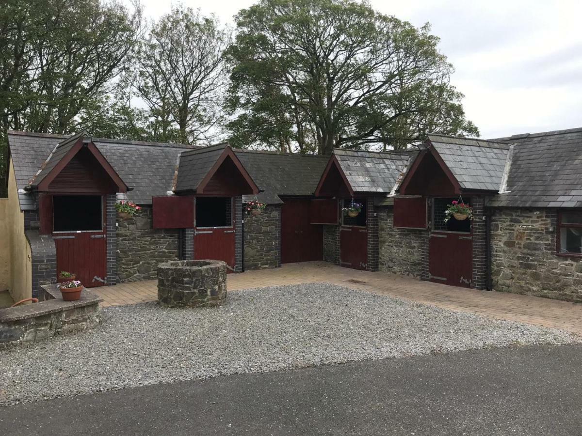 Llangwyryfon Country Breaks Bed & Breakfast Aberystwyth Bagian luar foto