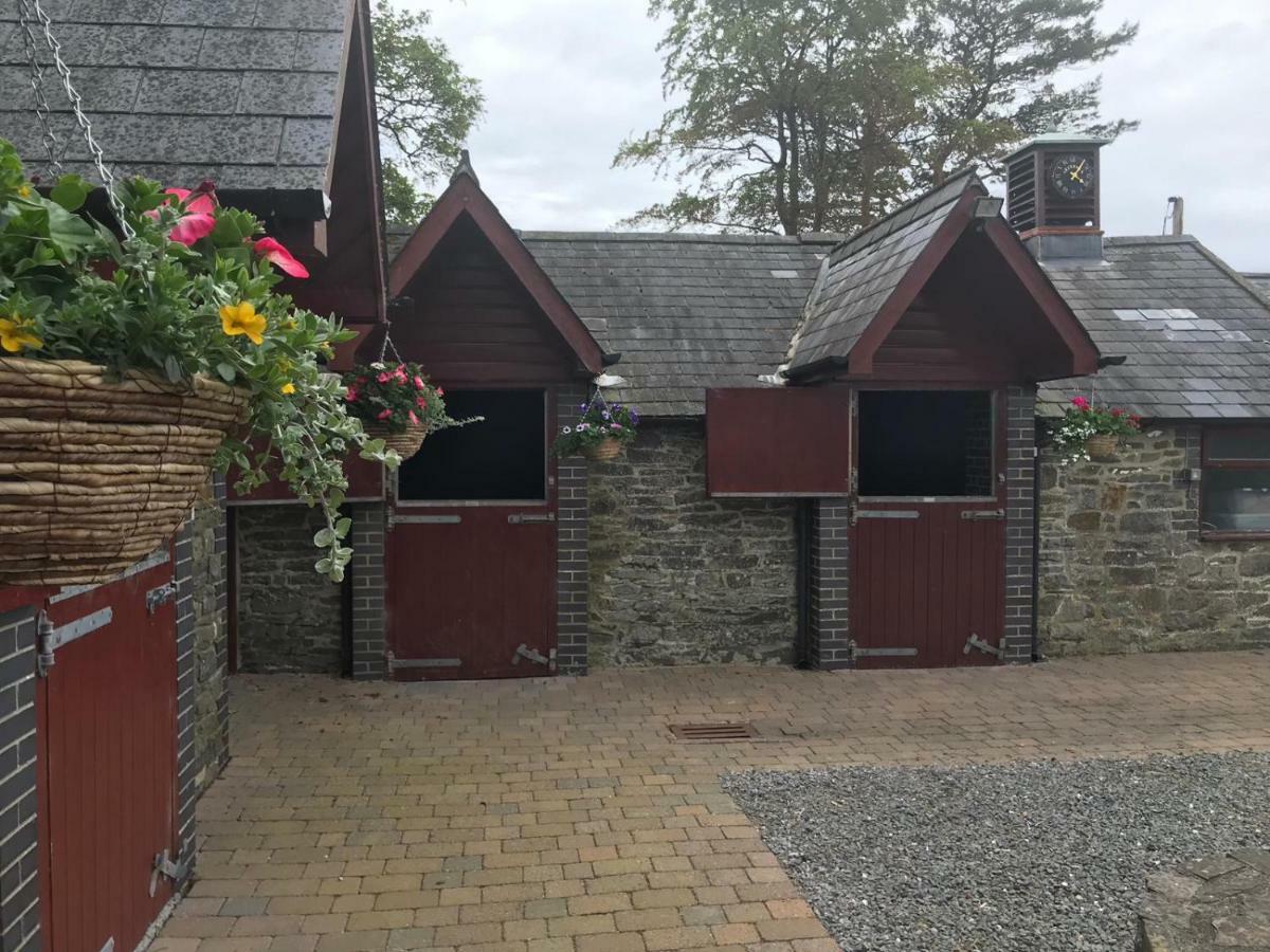 Llangwyryfon Country Breaks Bed & Breakfast Aberystwyth Bagian luar foto