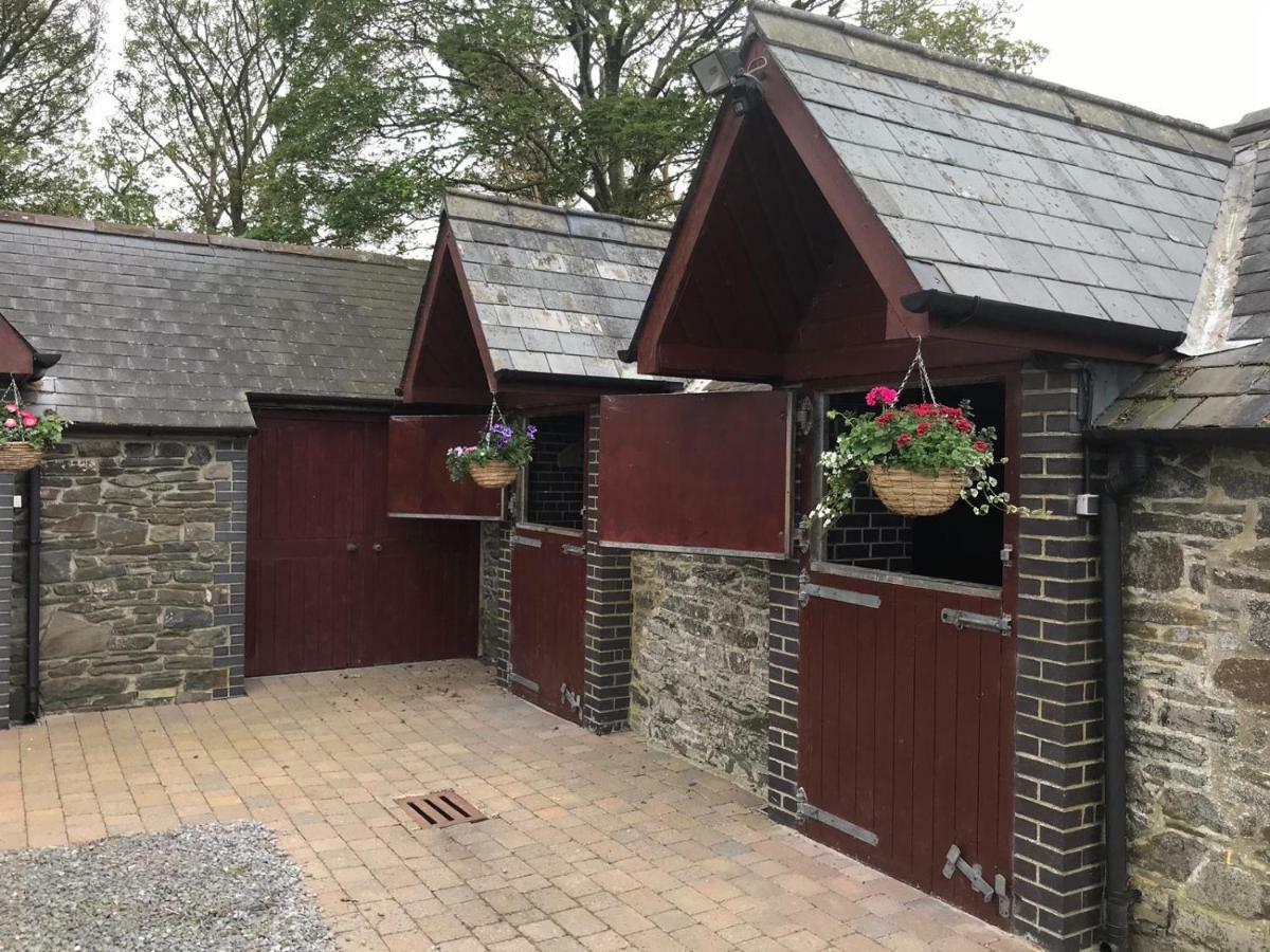 Llangwyryfon Country Breaks Bed & Breakfast Aberystwyth Bagian luar foto