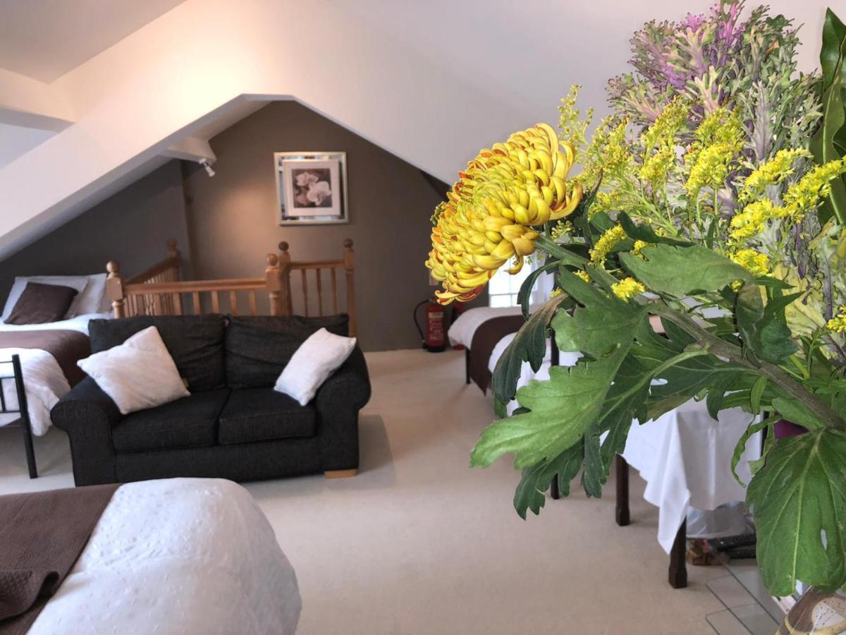 Llangwyryfon Country Breaks Bed & Breakfast Aberystwyth Bagian luar foto